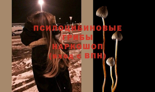 МДПВ Михайловка