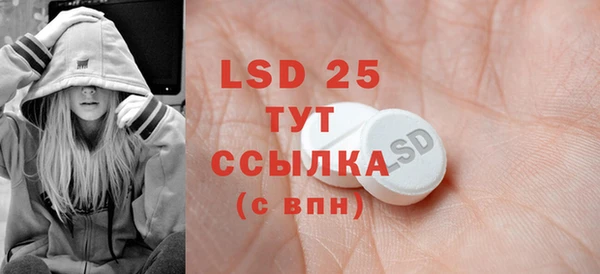 PSILOCYBIN Михайлов