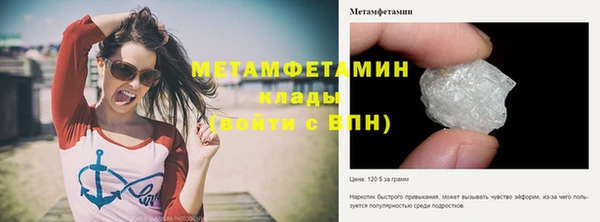 PSILOCYBIN Михайлов