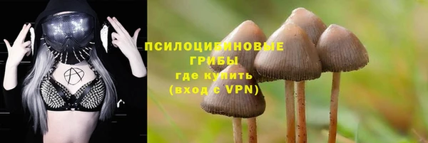PSILOCYBIN Михайлов