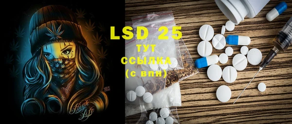 PSILOCYBIN Михайлов