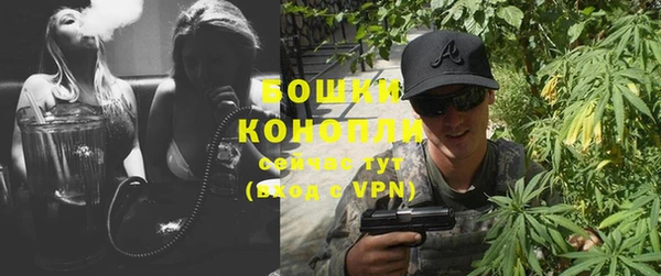 PSILOCYBIN Михайлов